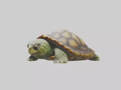 Sleeping Turtle Model Low-poly 3D model