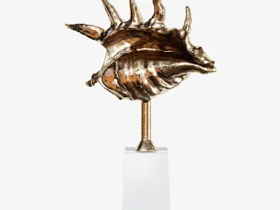 Sea shell decorative set 02 3D model