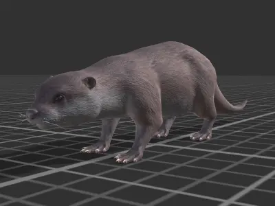 Otter Low-poly 3D model