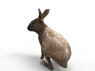 Red rabbit Rigged Low poly model Low-poly 3D model