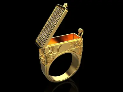 Secret Compartment ring  128  3D print model
