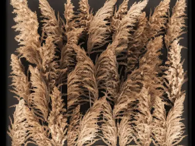 Decorating A Wall Of Dry Reeds For The Interior 258 3D model