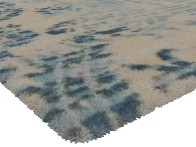 Rug Set 1902 3D model