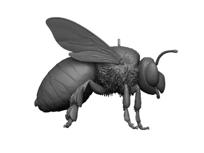bee pendant 3D print model purchase