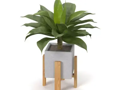 Artificial Agave Succulent Plant PBR 3D model