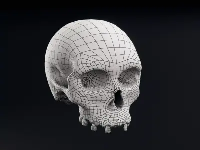 Skull Low-poly 3D model