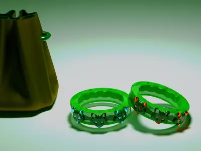 Bag and rings 3D model