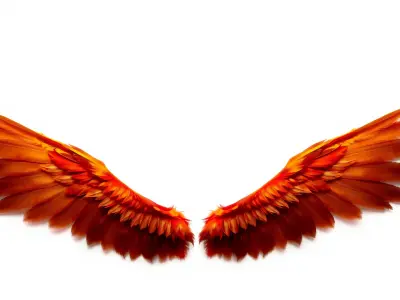 Phoenix Feathered Wings with Fiery Gradient Low-poly 3D model