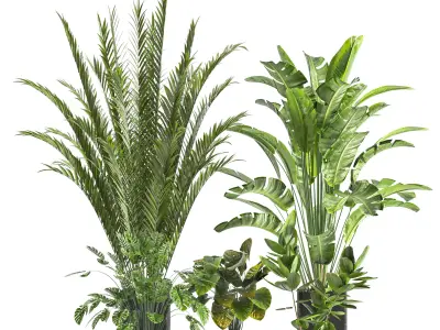 Collaction Indoor plant vol 45-02 3D model