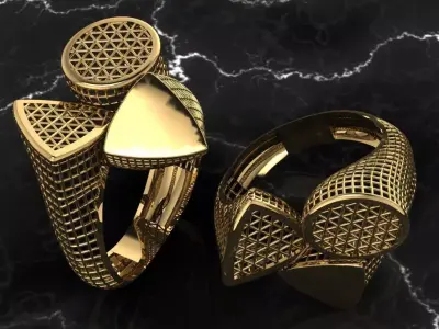 Fusion ring  3D print model