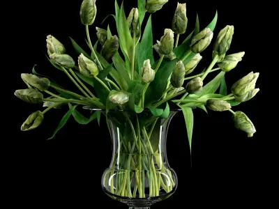 Green Parrot Tulips 3D model