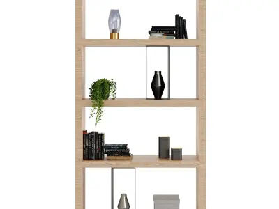 Flexform Bookshelf Braidense 3D model