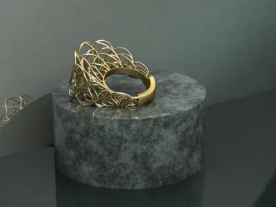 Wired ring R2 Free 3D print model