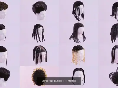 Long Hair Bundle 3D Model Collection