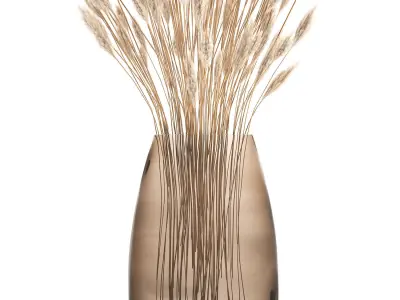 Bouquet of dried white reeds in a Vase 149 3D model