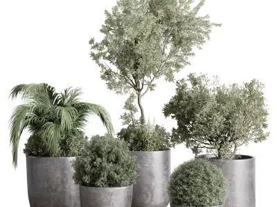 set Outdoor Indoor plant  concrete dirt vase pot tree bush palm 3D model