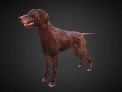 Dog Kurtshaar Brown Low Polygon Art Animal Low-poly 3D model