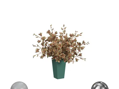 Orchid Flower White Dentrobium Glass Vase 3D model
