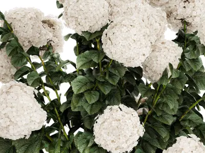 Festive Bouquet Glass Vase With White Hydrangea 581 3D model