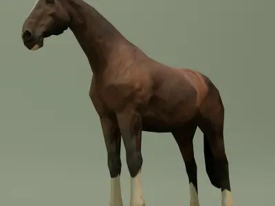 LowPoly Horse C Liver Chestnut Low-poly 3D model