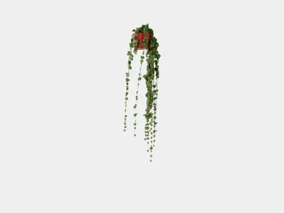 Hedera helix long ranks Low-poly 3D model