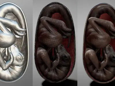 Dinosaur Embryo Low-poly 3D model