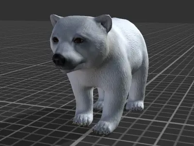 Polar Bear Cub Low-poly 3D model