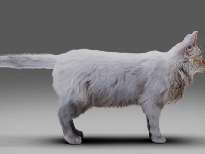 Fur Cat White NO Rigged Low-poly 3D model