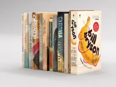 12 hardcover beige books Free 3D model