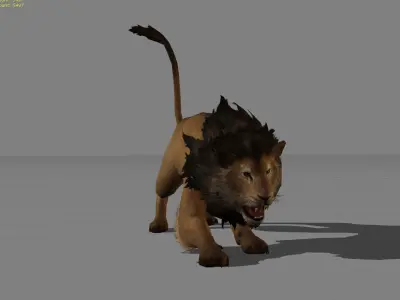 Lion Male Animal Low-poly 3D model