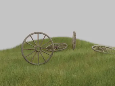 Wooden Tire 3D model