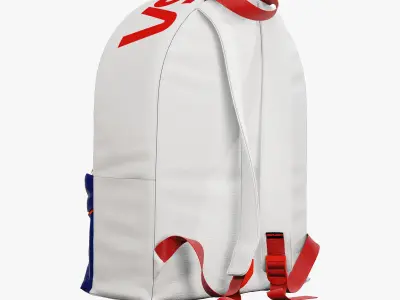 decorative set white NASA 3D model