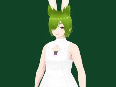 Tora anime girl vrchat Low-poly 3D model