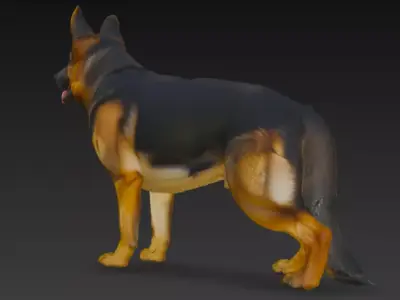 German Shepherd Dog 3d Model 3D model