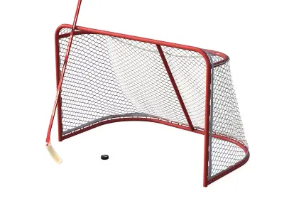 Hockey Gates 3D model