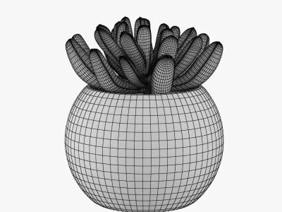 Flower in pot 3D model
