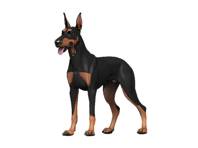 Doberman Low-poly 3D model