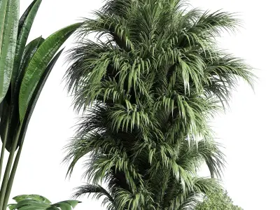 indoor plant ficus rubbery monstera palm concrete dirt vase 3D model