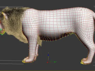Lion animation 3D model