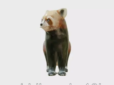 Red Panda Realistic Fur 3D Model Low-poly 3D model
