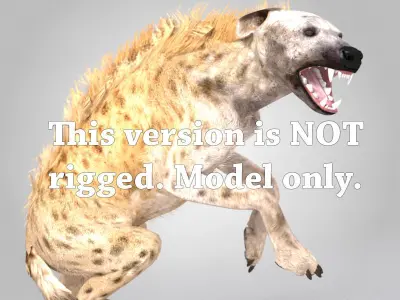 Spotted Hyena Low-poly 3D model