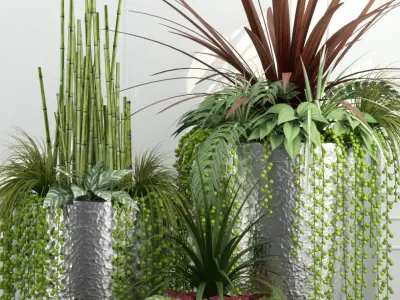 Room plants 3D model