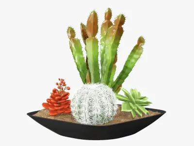 Plant composition decorative 01 3D model