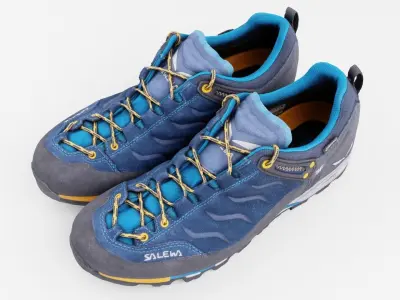 Pair of hiking shoes sneakers outdoor footwear 3D model