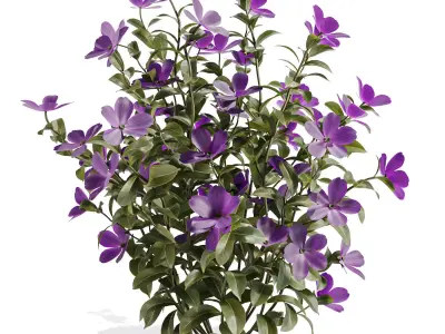 Purple Phlox Bush Arrangement 3D model