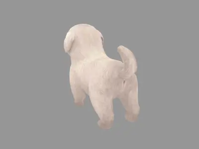 Cartoon pet puppy - White Pekingese - baby dog  Low-poly 3D model
