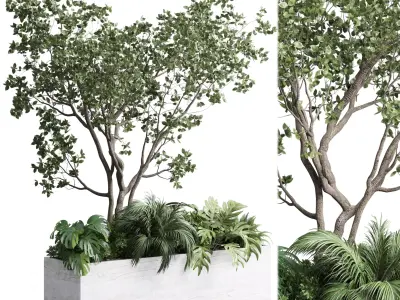 Stand plant in box garden indoor plant 130 3D model