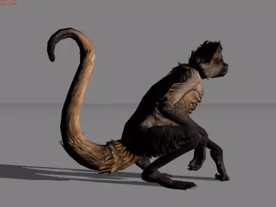 Monkey Thin Animal Low-poly 3D model