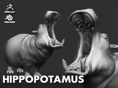 Hippopotamus  Sculpt 3D model
