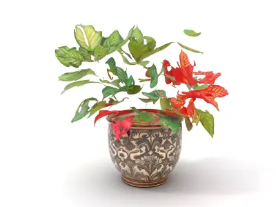 Ornate Leafy Plant model pack Low-poly 3D model